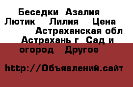 Беседки «Азалия», «Лютик», «Лилия» › Цена ­ 12 705 - Астраханская обл., Астрахань г. Сад и огород » Другое   